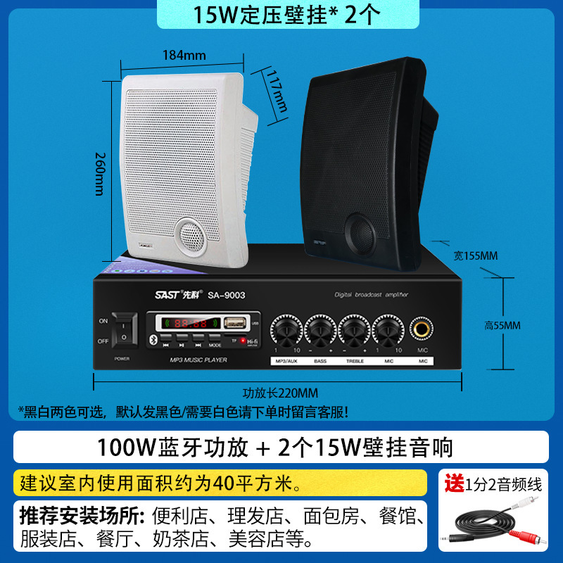 Amplificador de 100W y dos altavoces A2 de pared