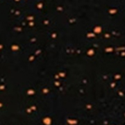 Negro + motas naranja