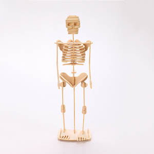 医学教育DIY 3D木制拼图骨架模型儿童人体解剖工具包盒装，带茎 - Product Image 5