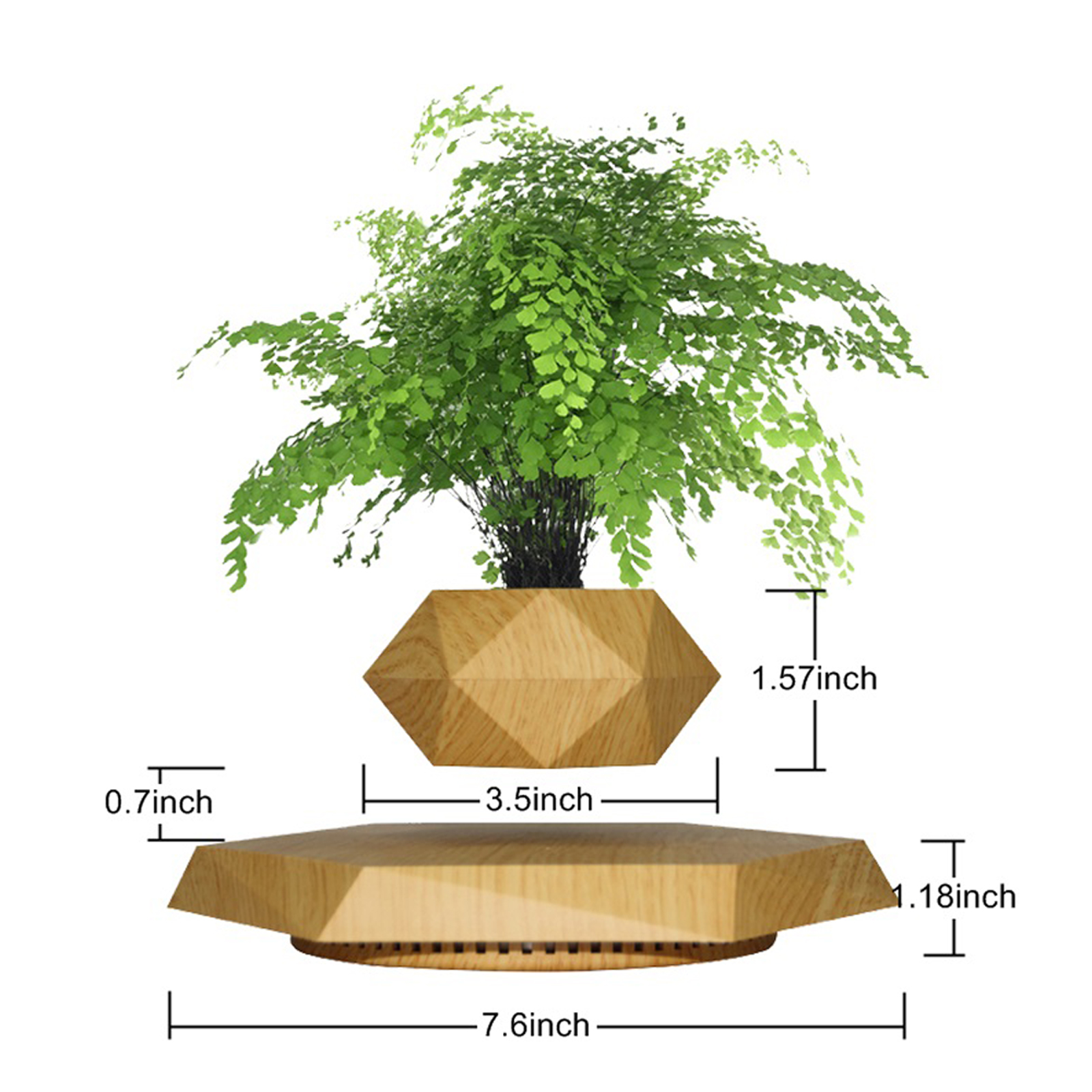 Base en bois avec des plantes en lévitation
