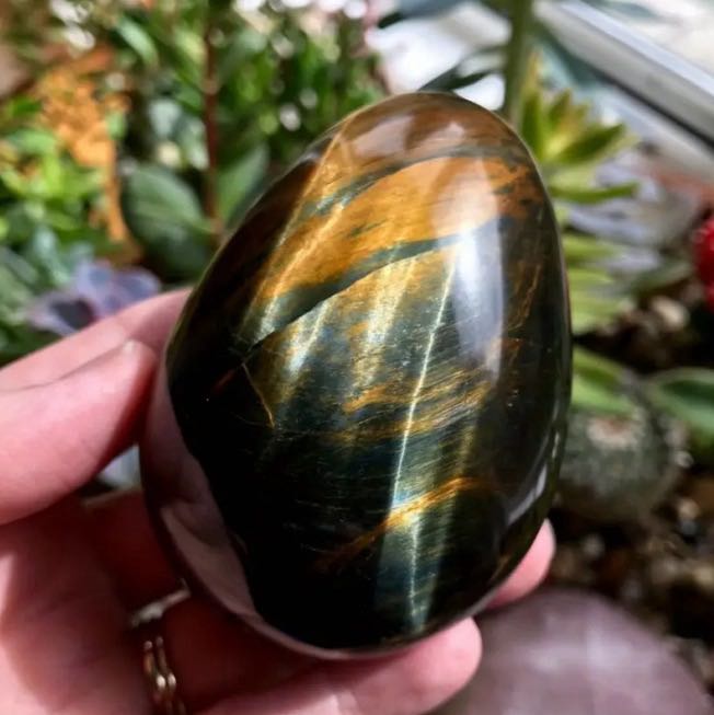 Yellow tiger eye egg