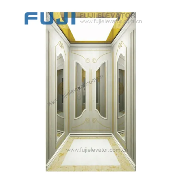 FUJI Small passenger panoramic glass elevator for home lift
