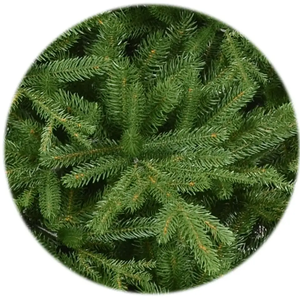 Çin'de yapılan noel ağacı tam Pe yılbaşı ağacı yılbaşı ağacı - Product Image 3