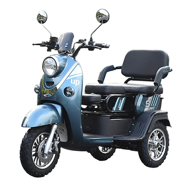 Citycoco-patinete eléctrico de tres ruedas para adultos, Scooter de 3 ruedas con ruedas motorizadas, de 1000w, para discapacitados