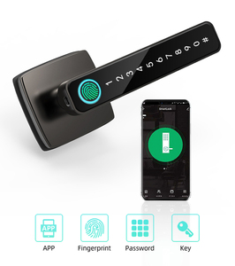 Ev kilitleri anahtar parmak izi App biyometrik şifre mavi diş akıllı TUYA akıllı elektronik dış kapı kilidi - Product Image 3