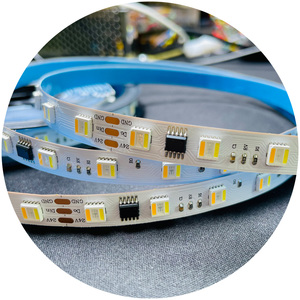 Decoración inteligente 24V Rgbcct tira de luces Led programación Digital Rgbcct tira Led 24V Smd5050 5 en 1 Rgbcct tira Led de alta densidad