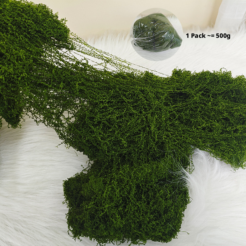 pelouse en laine verte