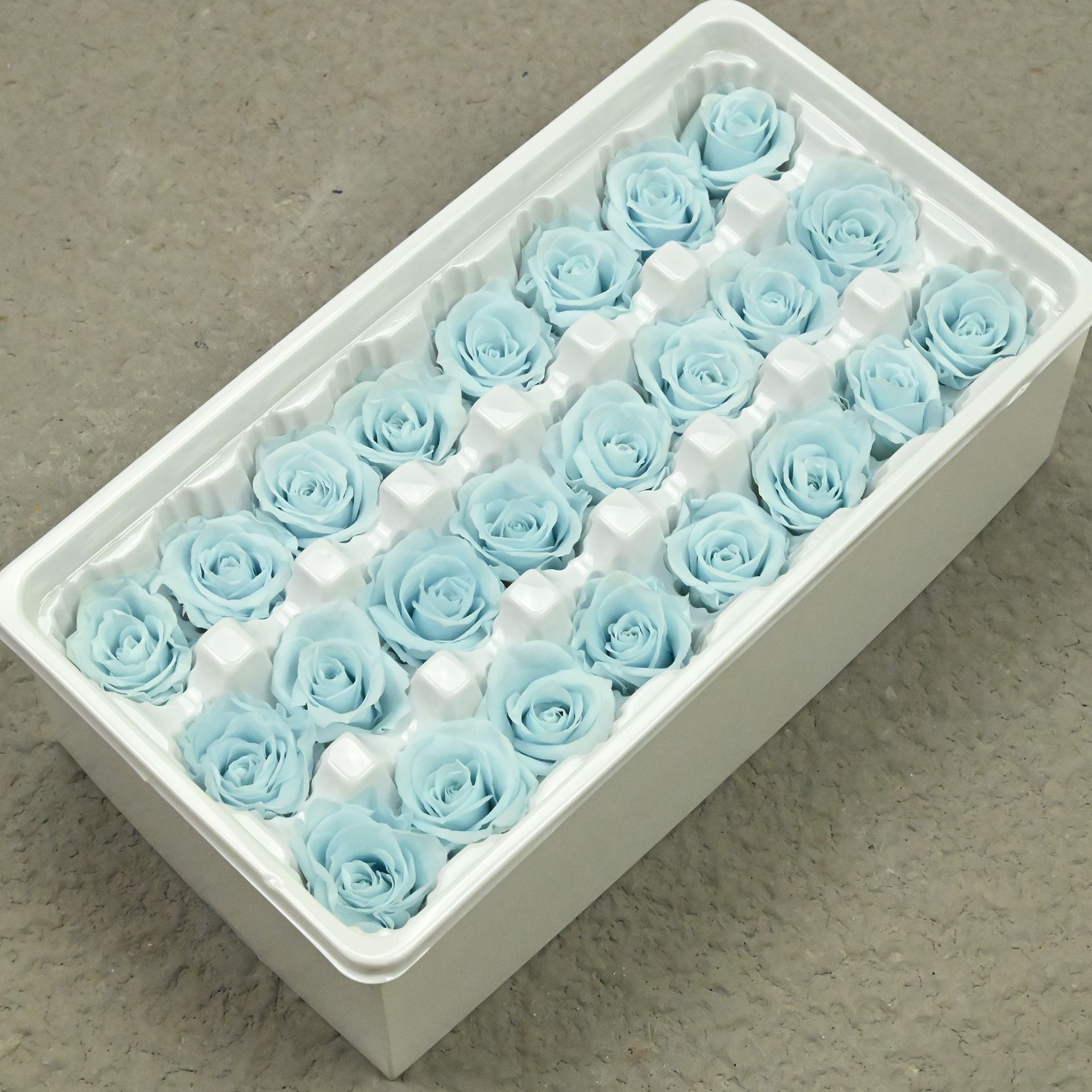 B rose 2-3 light blue-21 or 24