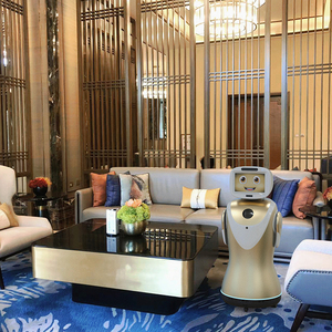 Attractive Cute Futuristic Social <strong>Robot</strong> Companion Performer Fun and Interactive Commercial Reception <strong>Robot</strong> - Product Image 6