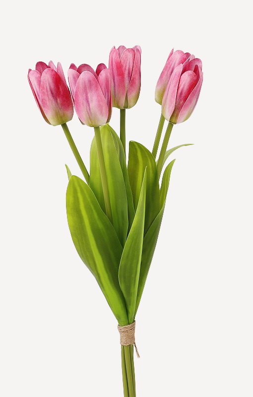 Rose foncé