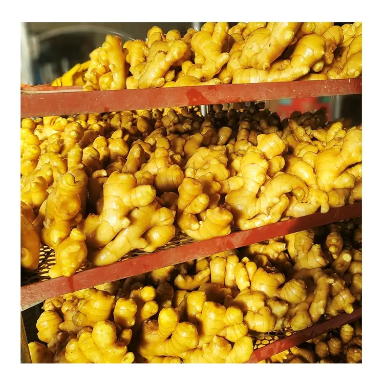 Имбирь свежий имбирь экспорт высокого качества новый урожай в картонной коробке для оптовой продажи свежего имбиря