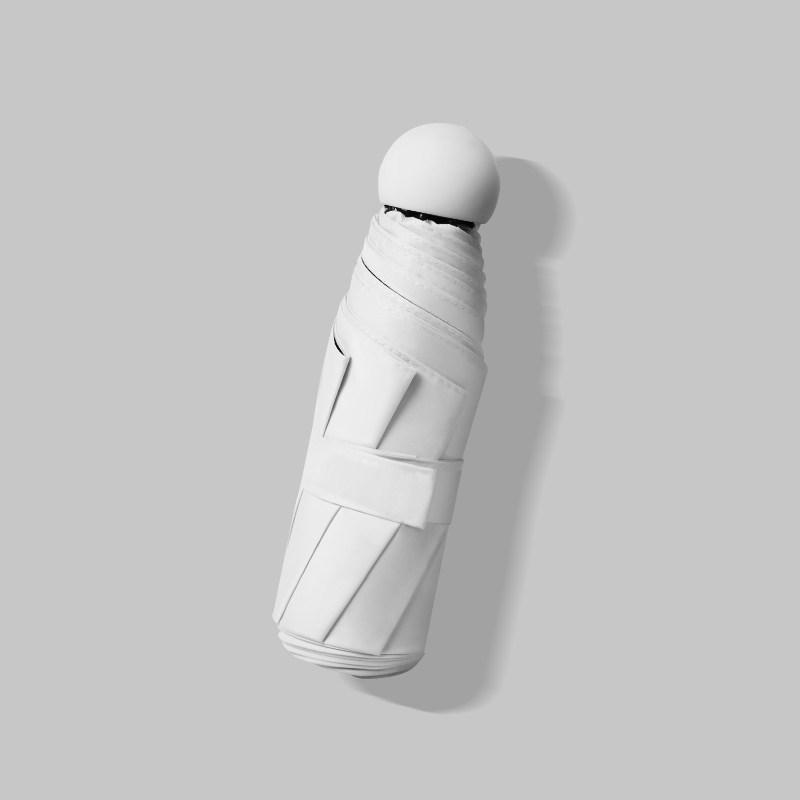 6 bones, 5 folds - white