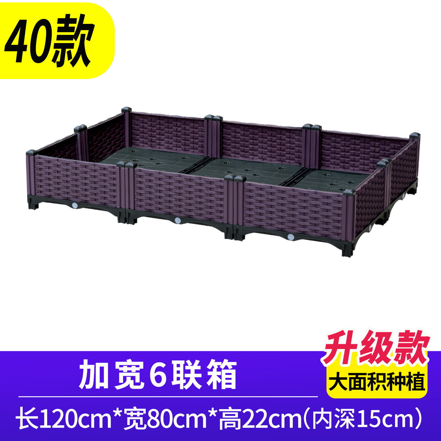 Widened 6-unit container: Length 120cm, Width 80cm, Height 22cm