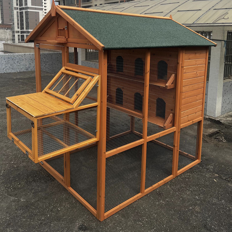 Beige avec cage de saut