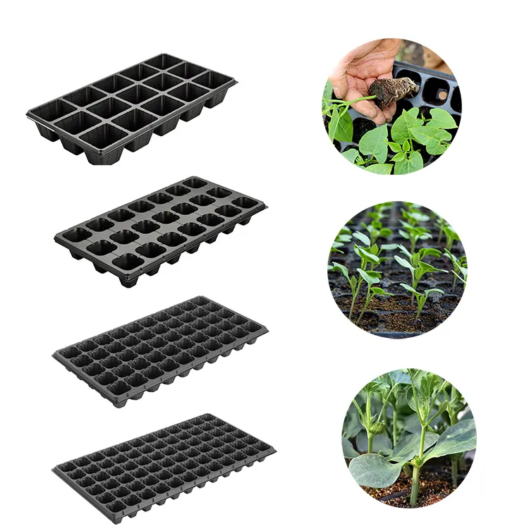 Plateaux de semis en plastique 72 cellules PS, 5 pièces, pour pépinière de plantes, pour agriculture, serre, ferme et jardin