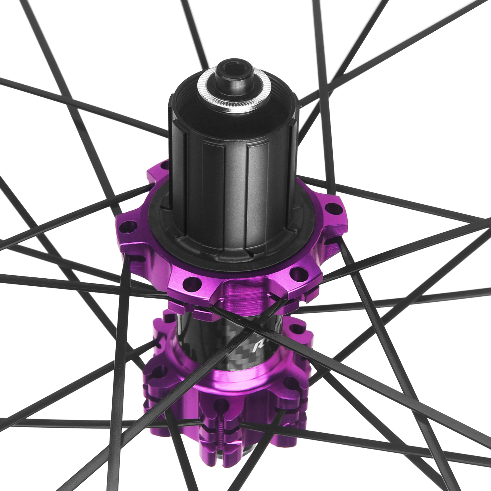 Violet 700C (29 pouces)