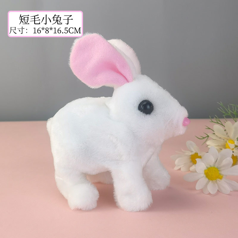 Lapin à poils courts (blanc)