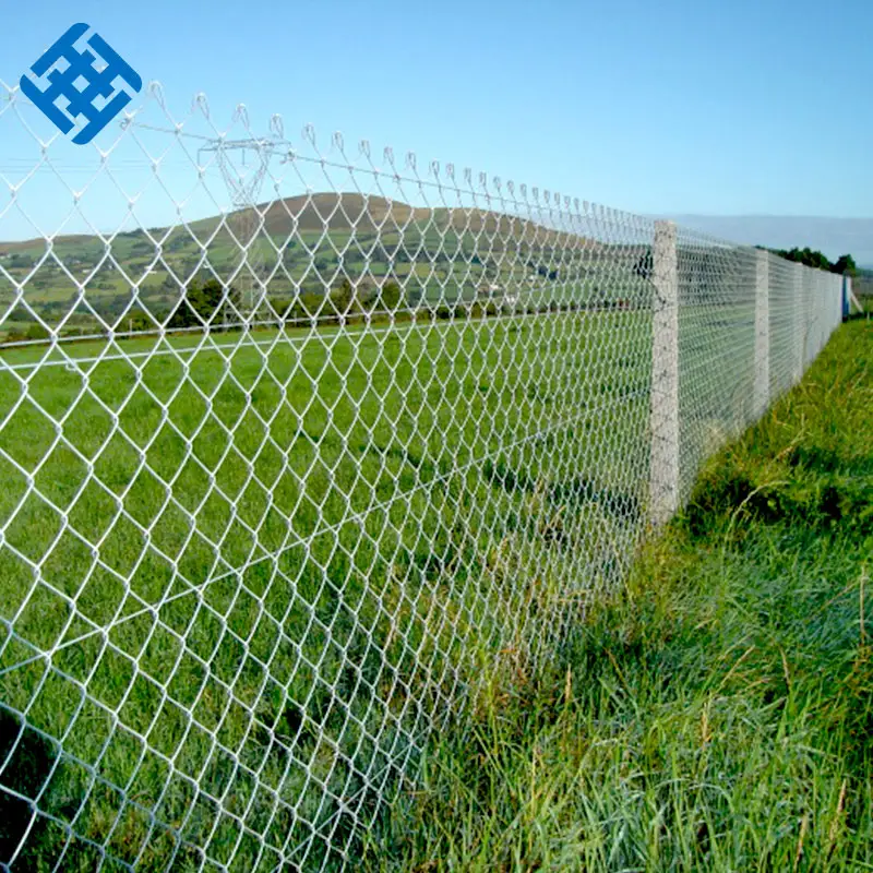 Panel de valla de eslabones de cadena de jardín de malla de grado de construcción de hierro galvanizado recubierto de PVC duradero para la venta de fábrica de China