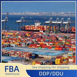 Shenzhen Freight Forwarder Logistics Shipping Agent-Kosten günstiger Seeverkehr von China nach USA Pakistan Australien-DDP inklusive