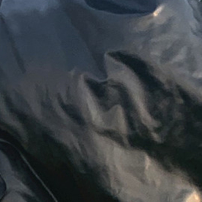 Negro