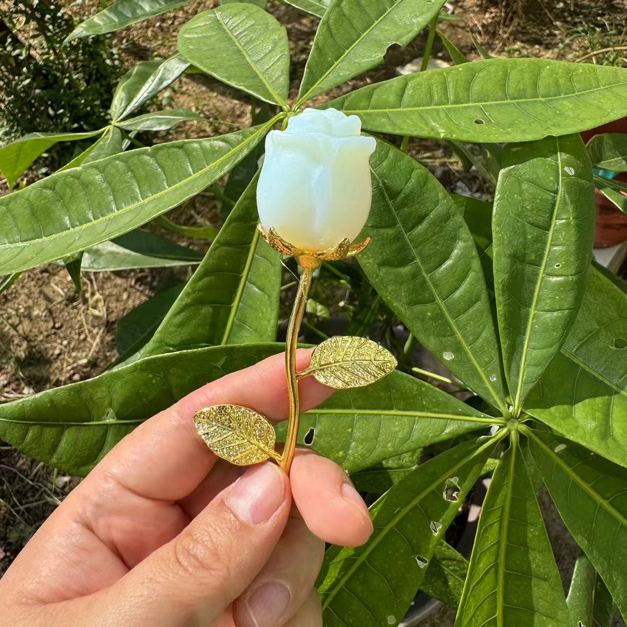 โอปอล