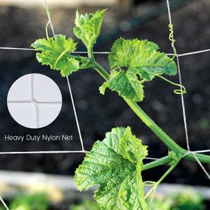 Traliccio netto flessibile di colore bianco per tende da coltivazione rete a traliccio per piante viti da arrampicata 1.67m x 5m