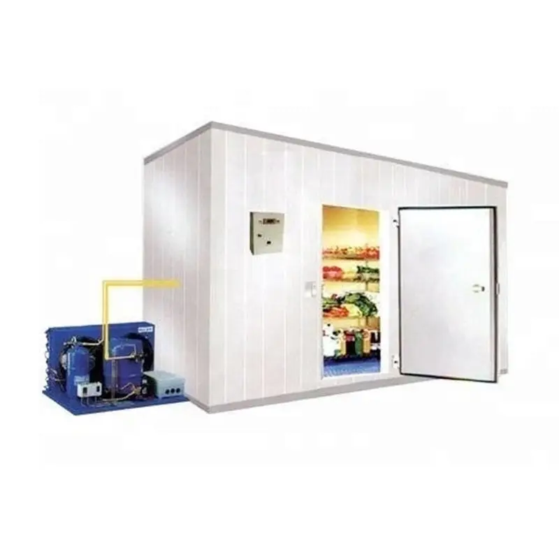 Marcher dans le congélateur/refroidisseur de stockage en chambre froide Équipement de réfrigérateur Unité de condensation Chambre froide mobile pour congélateur