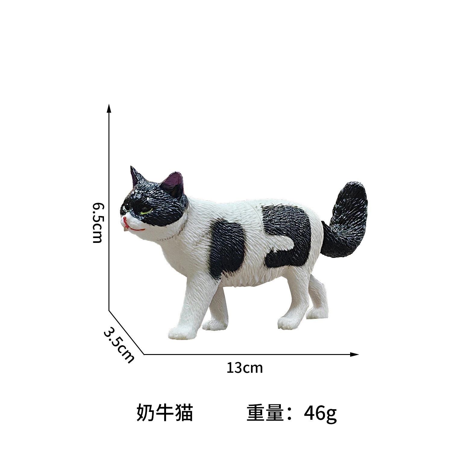 Chat bicolore / Chat vache