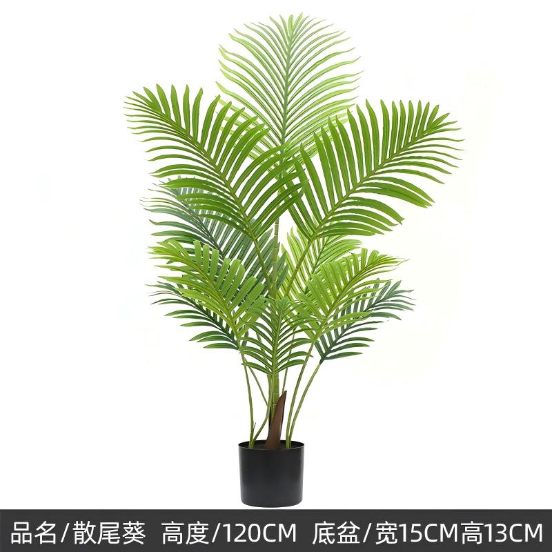 Plantes vertes 8
