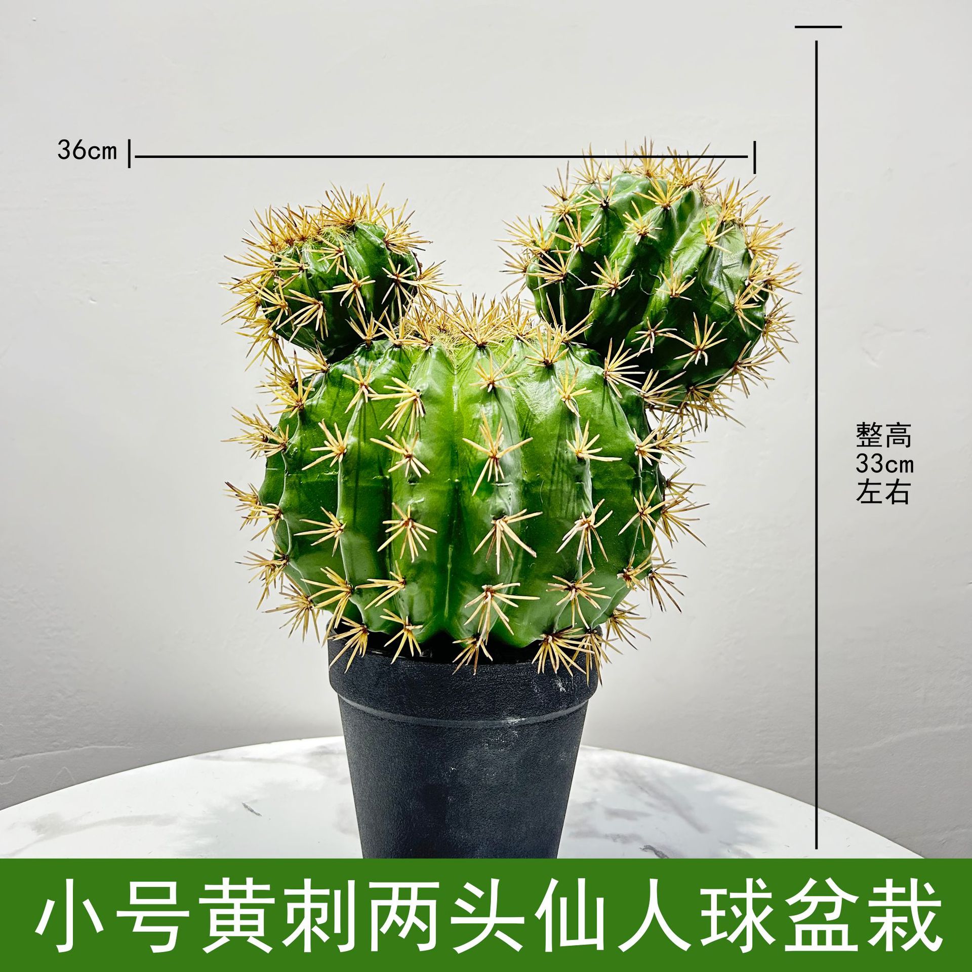 Pequeño cactus de dos cabezas con espinas amarillas en maceta