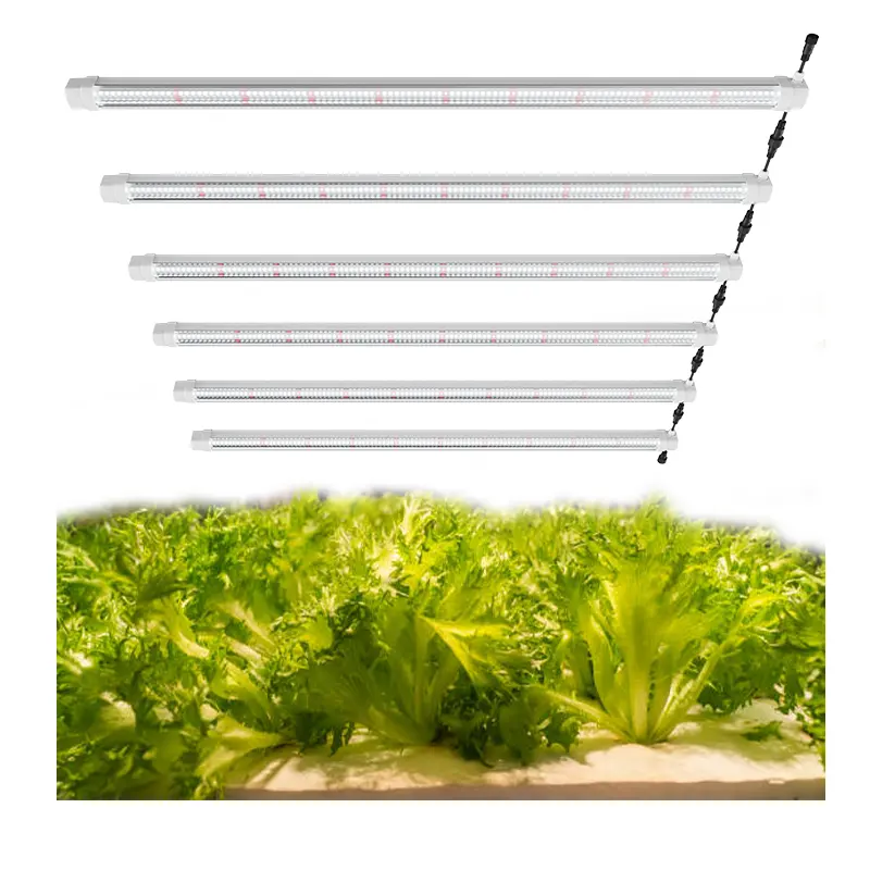 Brevettato T8 LED tubo di luce di coltivazione nuovo Design a spettro completo verticale fattoria serra piante personalizzate crescita ottimale fioritura IP65