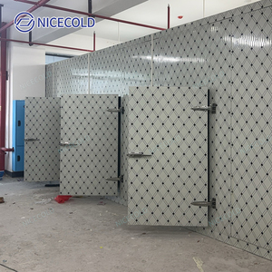 NICECOLD özelleştirilebilir soğuk oda depolama Walk-In soğutucu kutu 12X7X8 Blast dondurucu oda et depolama dondurucu - Product Image 3