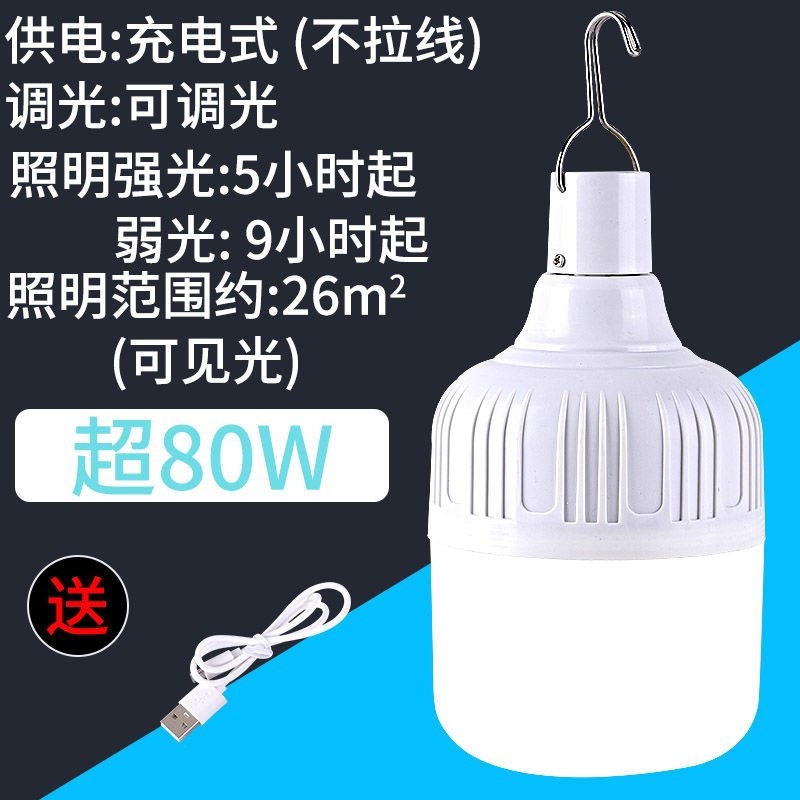High brightness (over 80W) model (charging cable included)