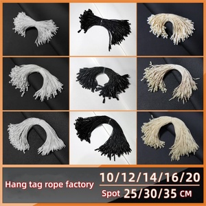 Hanging Label Silk Rope Plastic Hanging Permanent <strong>Hang</strong> <strong>Tags</strong> for Clothes Sealing Wire Silk Custom Logo <strong>Hang</strong> <strong>Tag</strong> <strong>String</strong> - Product Image 3