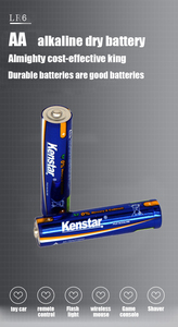 金属ジャケット付き<span class=keywords><strong>LR03</strong></span> 1.5V AAAアルカリ電池1200mAh容量中国浙江省省 - Product Image 5