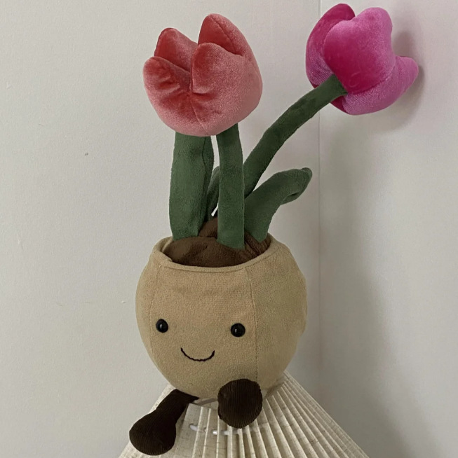 Tulipe 24cm