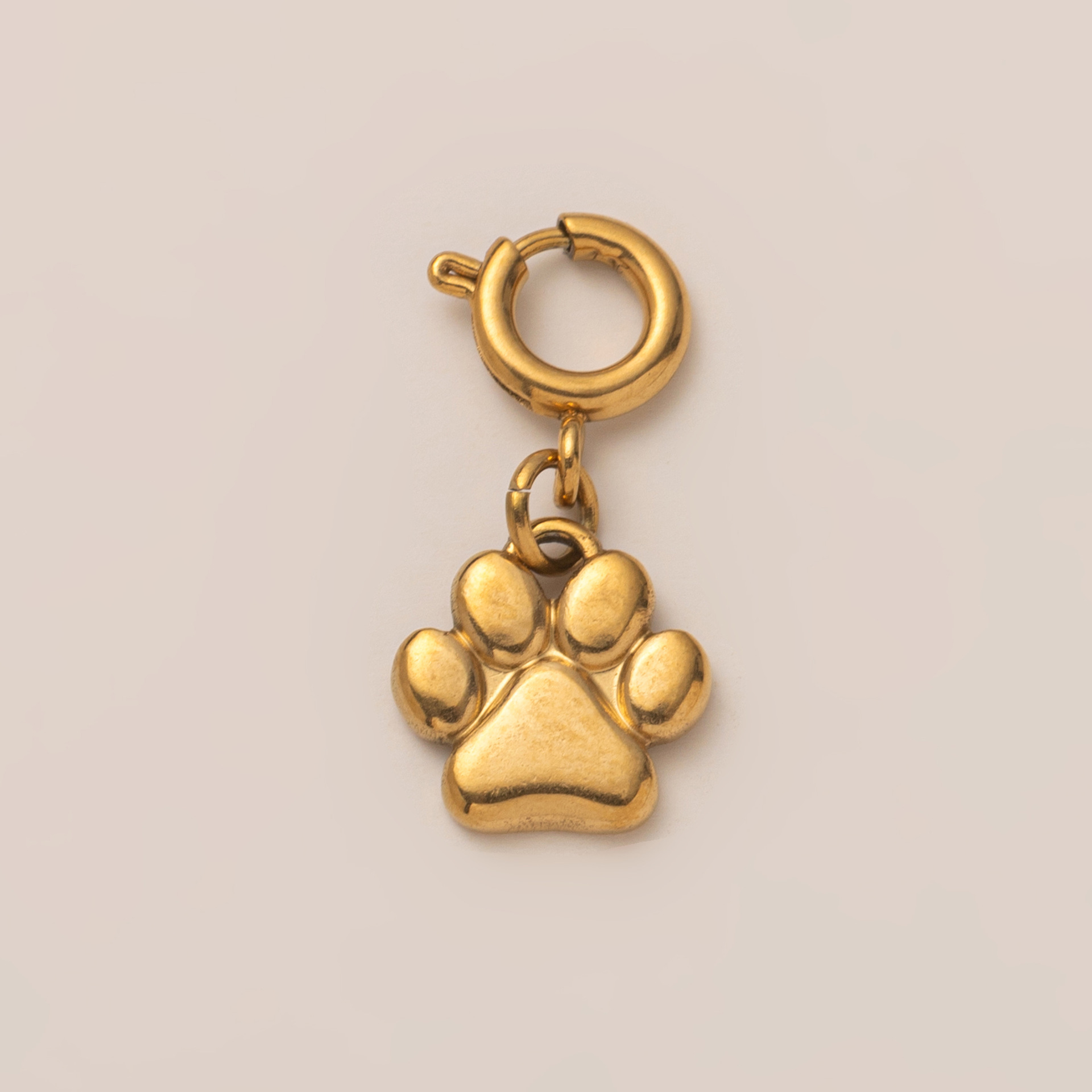 Breloque patte de chien
