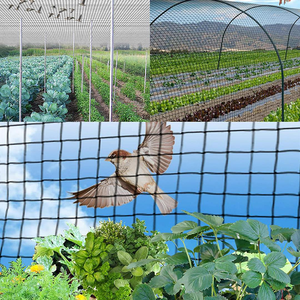 Nhà Cung Cấp Lưới Chim Việt Quất Lưới Mịn Để Ngăn Chặn Chim Bồ Câu Làm Tổ - Product Image 4