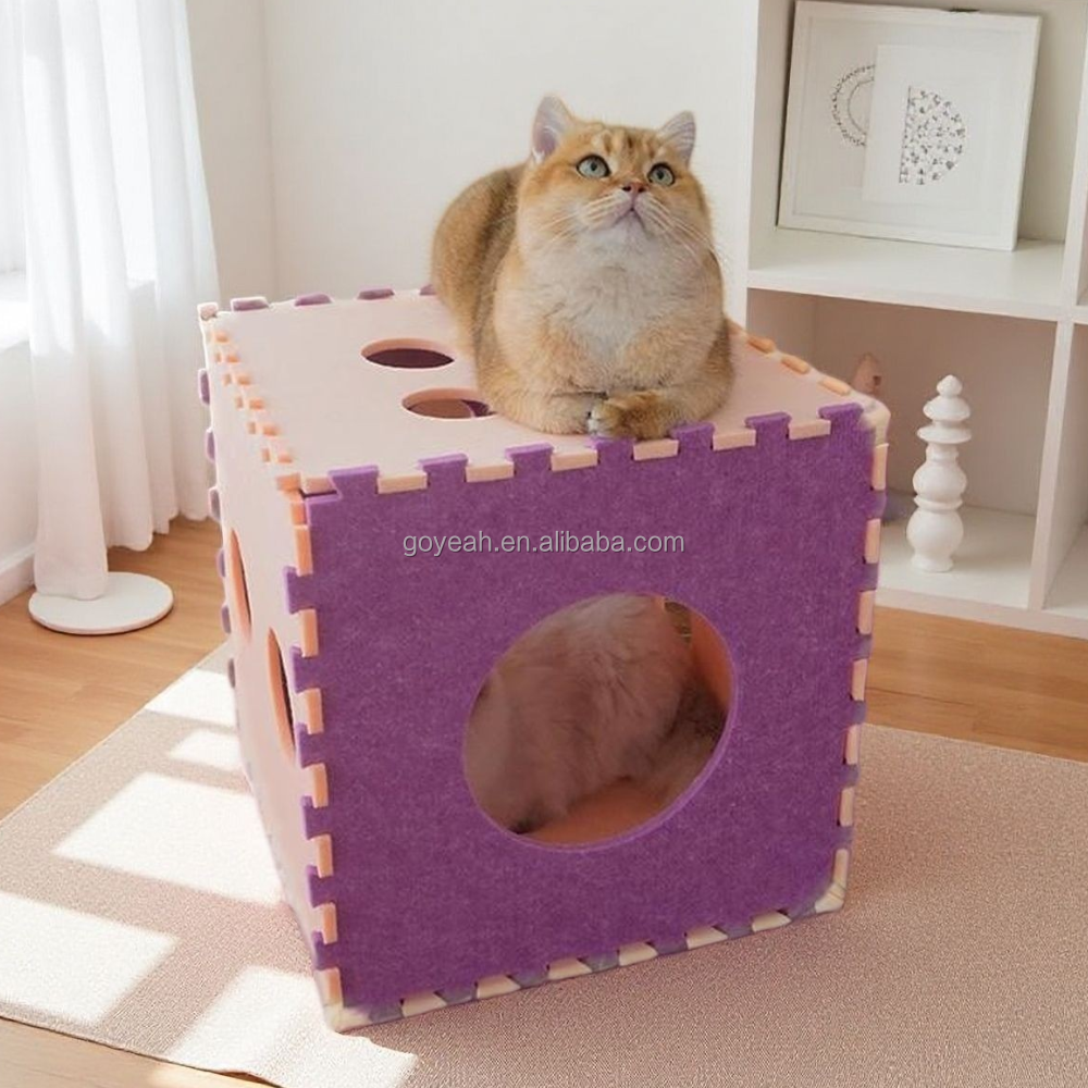 Pink+Purple