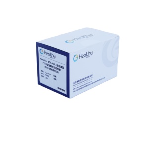 Healthy Biotech Real-time QPCR Fusion <strong>Gene</strong> Detection Kit <strong>Human</strong> BCR-ABL1 P210 Genotyping Testing Reagent Kit - Product Image 1