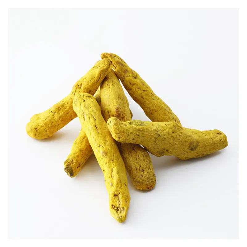 Doigt de curcuma jaune biologique Qualité assurée Épices et herbes simples Fournisseur de curcuma Doigt de curcuma Prix