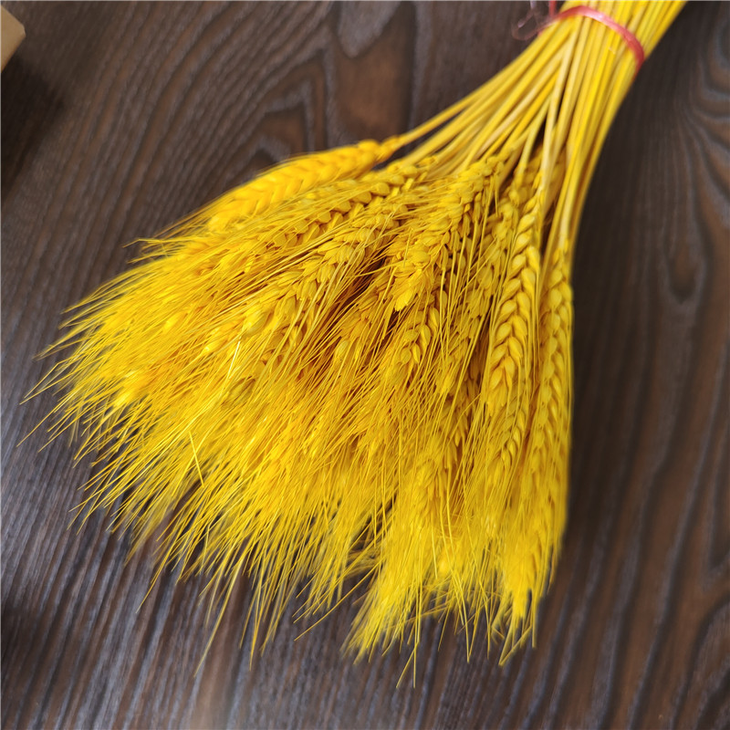 สีเหลือง