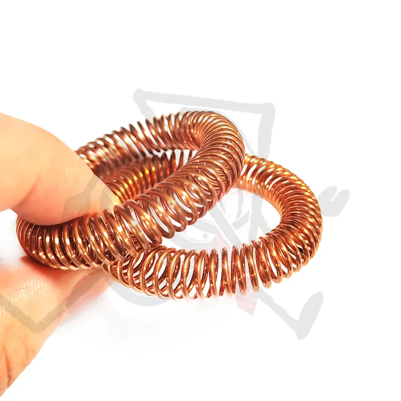 Metal Spring Manufacturer Custom High Voltage Switch Canted Coil Spring O Ring Shape Oil Seal Garter Spring