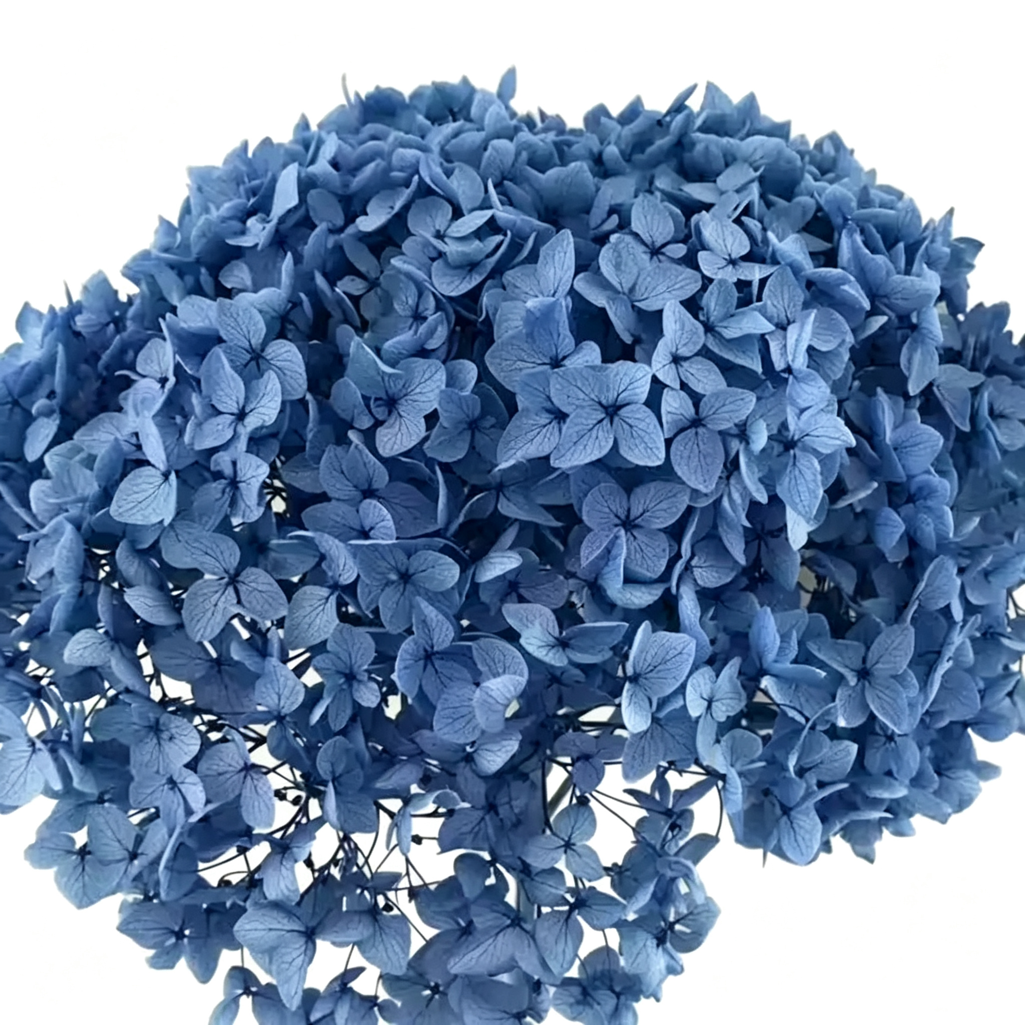 blue gray