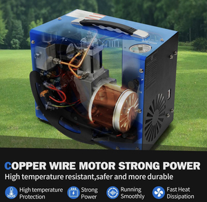 PCP 12V 110V 220V自动停止4500psi 30mpa 300bar Pcp泵内置电源适配器彩弹PCP空气压缩机