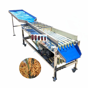 Datteri di vendita - Product Image 3