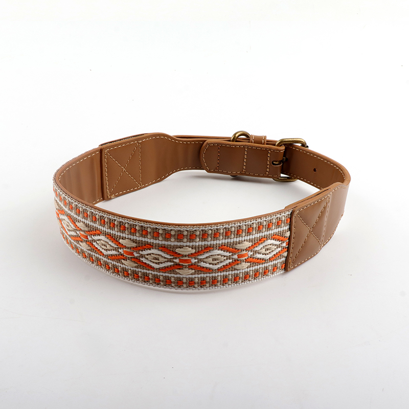 collar 1