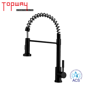 TOPWAY SS304弹簧水槽水龙头下拉2喷嘴双功能多种风格伸缩哑光黑色厨房水龙头混音器水龙头