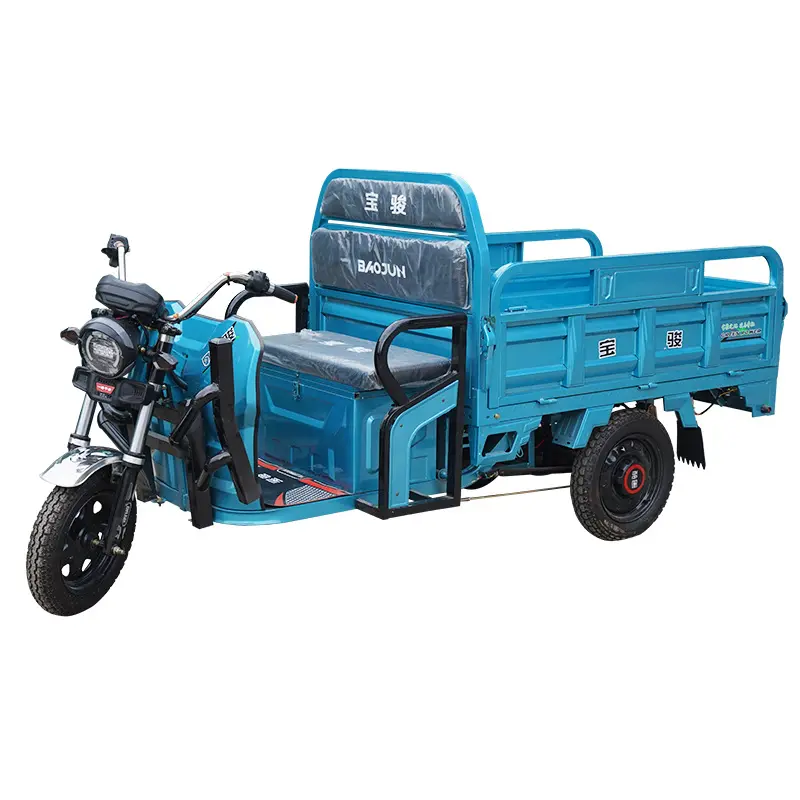 guter kundendienst aktuelle produkte hohe qualität 11-20 km/h elektro-dreiräder für erwachsene lasten-dreirad