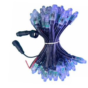 DC5V 12V <strong>LED</strong> <strong>Modules</strong> Smart WS2811 UCS1903 Digital RGB Christmas Light <strong>String</strong> Adressable <strong>LED</strong> <strong>Pixel</strong> 12MM